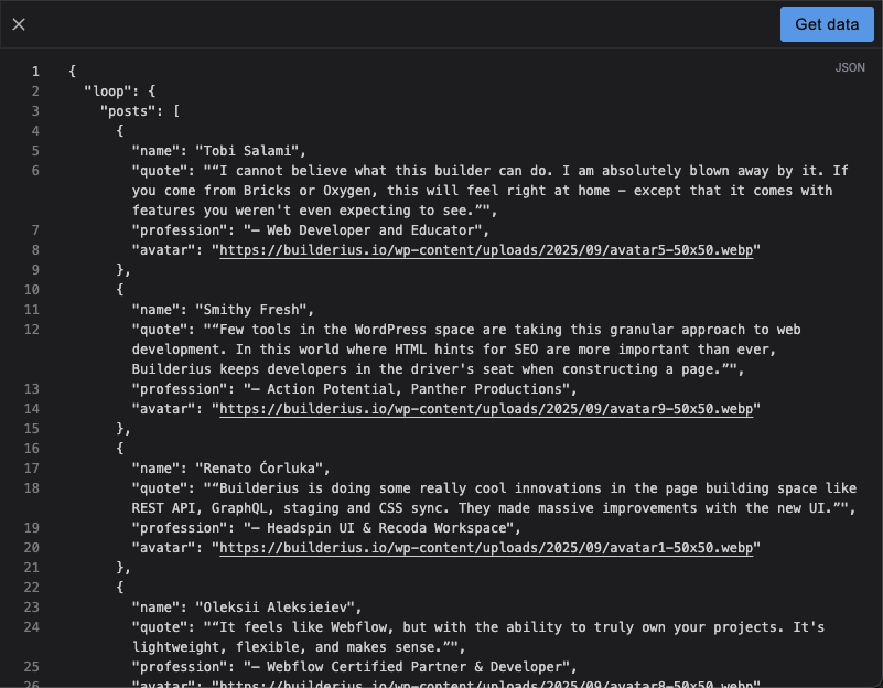 Screenshot showing the JSON data preview interface
