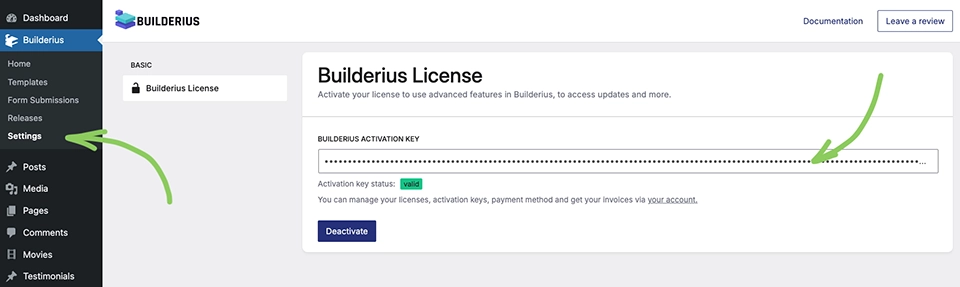 Screenshot: License activation screen with key field and active status